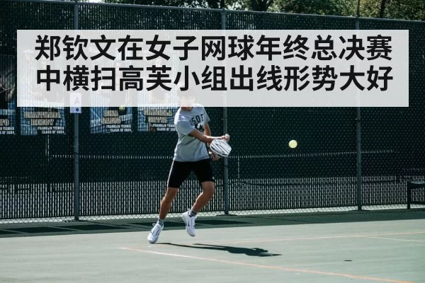 tennis court action shot